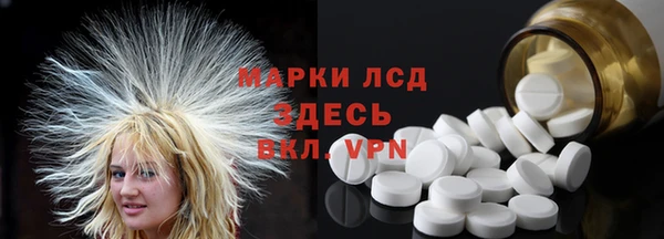 хмурый Арсеньев