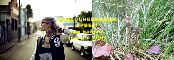 а пвп мука Аркадак