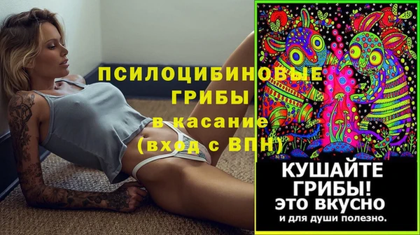 хмурый Арсеньев
